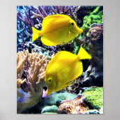 Yellow Hawaiian Tang Fish Poster (Voorkant)