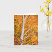Yellow Herfst Aspen Tree Kaart (Gele Bloem)