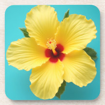 Yellow Hibiscus
