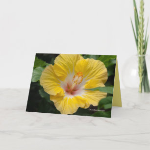 Yellow Hibiscus Bloom Kaart