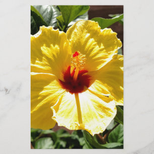 Yellow Hibiscus Briefpapier
