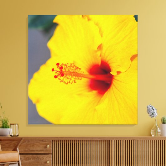 Yellow Hibiscus Canvas Afdruk (Insitu (Woonkamer))