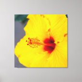 Yellow Hibiscus Canvas Afdruk (Voorkant)