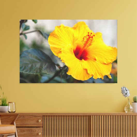 Yellow Hibiscus Canvas Afdruk (Insitu (Woonkamer))