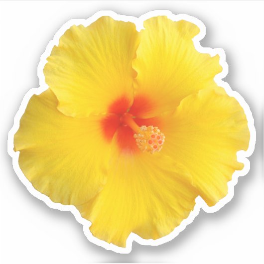 Yellow Hibiscus Flower foto Sticker (Voorkant)
