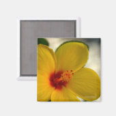 Yellow Hibiscus Magneet (Voorkant / Achterkant)
