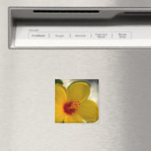 Yellow Hibiscus Magneet (Insitu (Vaatwasser))