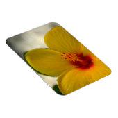 Yellow Hibiscus Magneet (Rechterzijde)