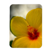 Yellow Hibiscus Magneet (Verticaal)