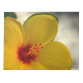 Yellow Hibiscus Notitieblok