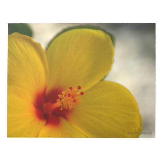 Yellow Hibiscus Notitieblok (Voorkant)