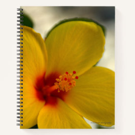 Yellow Hibiscus Notitieboek