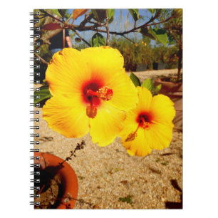 Yellow Hibiscus Photo Notitieboek