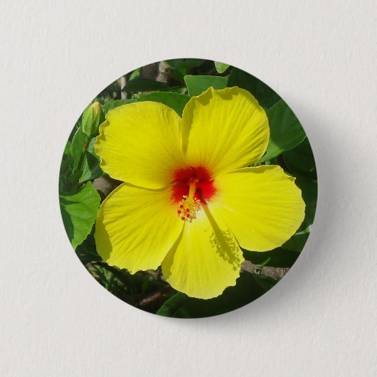Yellow Hibiscus Ronde Button 5,7 Cm (Voorkant)