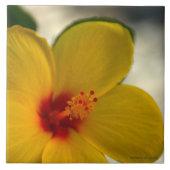 Yellow Hibiscus Tegeltje (Voorkant)