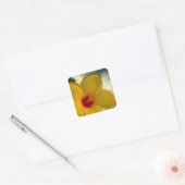 Yellow Hibiscus Vierkante Sticker (Envelop)