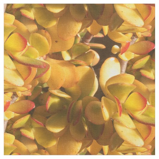 Yellow Ice-Planten Stof (Close Up)