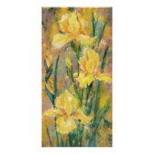 Yellow Iris Flowers Poster (Voorkant)