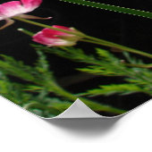 Yellow Iris Irissen Bloementuin Poster (Hoek)