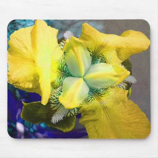 Yellow Iris Mousepad Muismat (Voorkant)