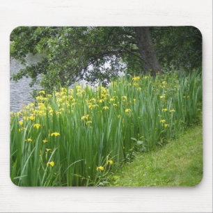 Yellow Iris Mousepad Muismat