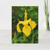 Yellow Irises Kaart (Voorkant)