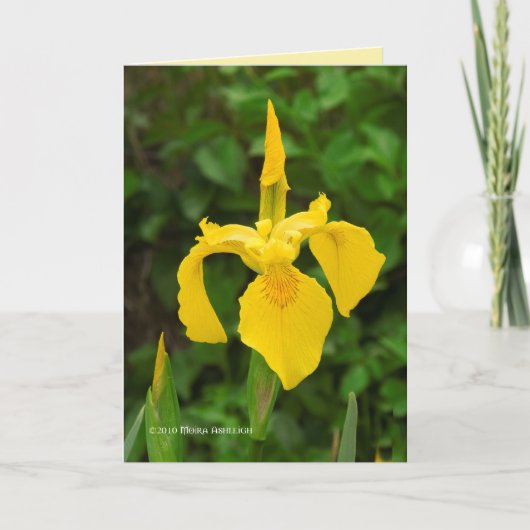 Yellow Irises Kaart (Voorkant)