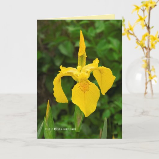 Yellow Irises Kaart (Gele Bloem)