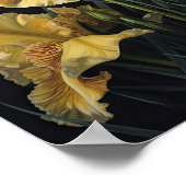 Yellow Iriss Flower Art Print Poster (Hoek)