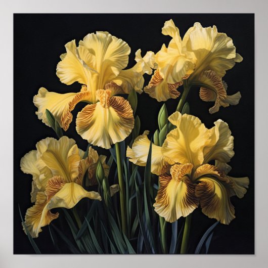 Yellow Iriss Flower Art Print Poster (Voorkant)