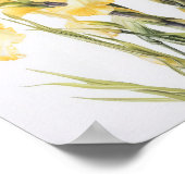 Yellow Iriss Flower Art Print Poster (Hoek)