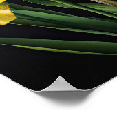 Yellow Iriss Flower Art Print Poster (Hoek)