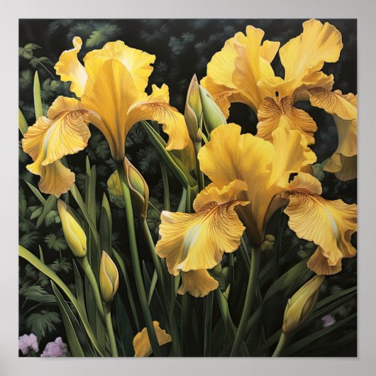 Yellow Iriss Flower Art Print Poster (Voorkant)