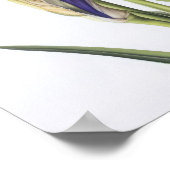 Yellow Iriss Flower Art Print Poster (Hoek)