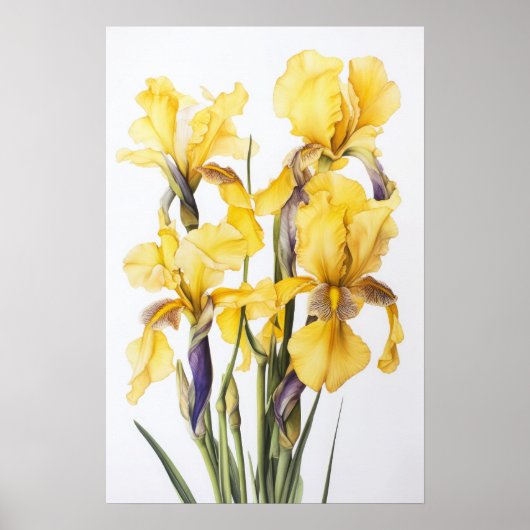 Yellow Iriss Flower Art Print Poster (Voorkant)