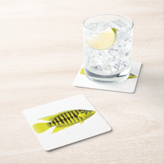 Yellow Jacket Cichlid Kartonnen Onderzetters (Insitu)