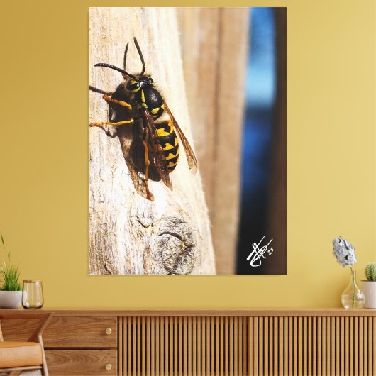 Yellow Jacket in Freeland Canvas Afdruk (Insitu (Woonkamer))