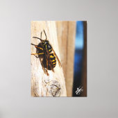 Yellow Jacket in Freeland Canvas Afdruk (Voorkant)