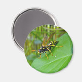 Yellow Jacket Magnet (Voorkant / Achterkant)