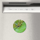 Yellow Jacket Magnet (Insitu (Vaatwasser))