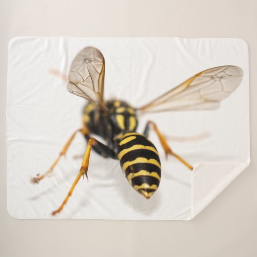 YELLOW JACKET SHERPA DEKEN (Voorkant (horizontaal))