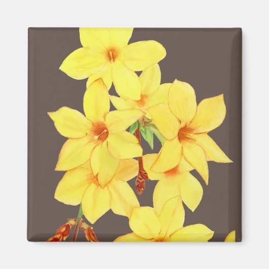 Yellow Jasmine Flower Magnet | Waterverf Art. (Voorkant)