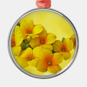 Yellow Kalanchoe - Succulent Sunshine Metalen Ornament