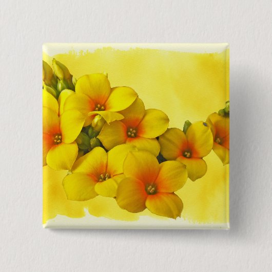 Yellow Kalanchoe - Succulent Sunshine Vierkante Button 5,1 Cm (Voorkant)