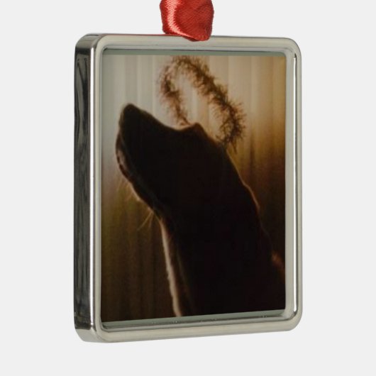 Yellow Lab Angel Ornament van Willowcatdesigns (Rechts)