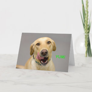 Yellow Lab Birthday-kaart met focus voor een goed  Kaart