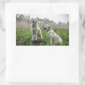 Yellow Lab Groep Rechthoekige Sticker (Tas)