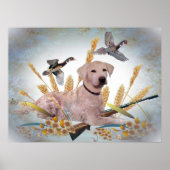 Yellow Lab Hunts Ducks Print (Voorkant)