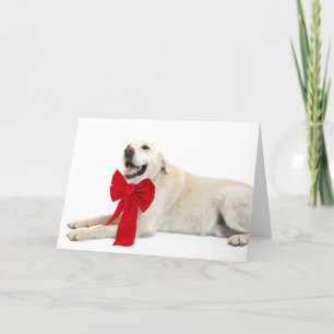 Yellow lab kerst feestdagen kaart