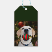Yellow lab-kerstbal cadeaulabel (Voorkant)